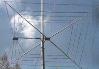 Cobweb Antenna